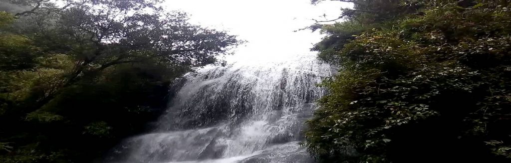 Bear Shola Falls - Kodaikanal